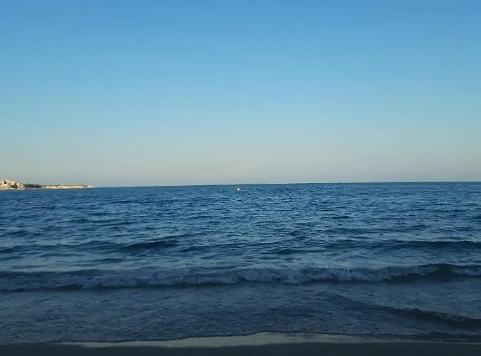 Salvia * Ράβντα